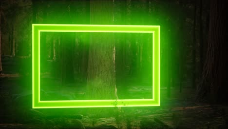 Neon-Leuchtender-Rechteckiger-Rahmen-Im-Nachtwald